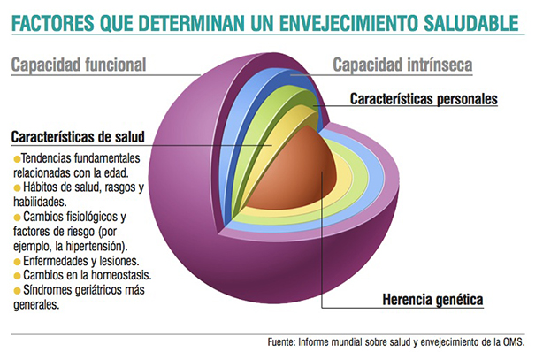 Que es geriatria segun la oms
