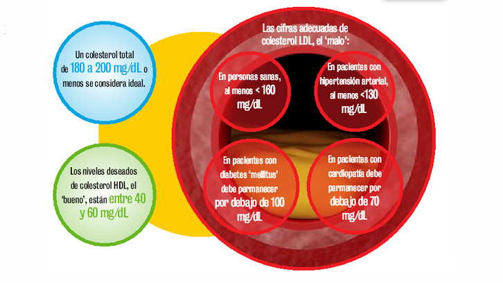 Hdl colesterol del funcion