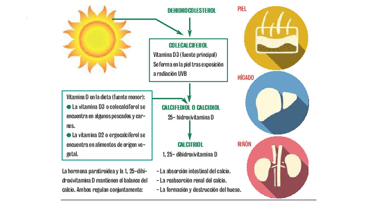 beneficios de la vitamina d3