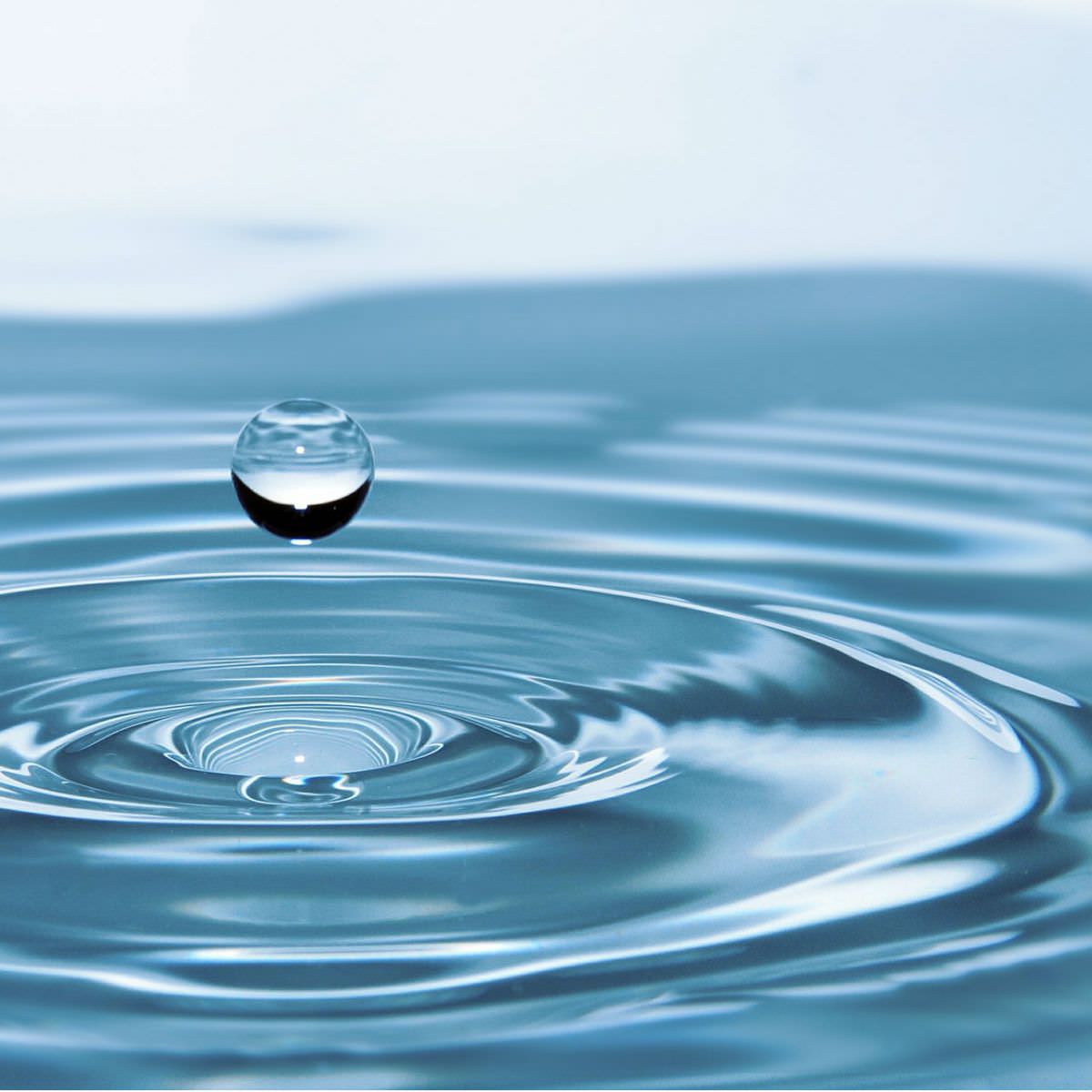 Contraindicaciones del uso del agua de coco
