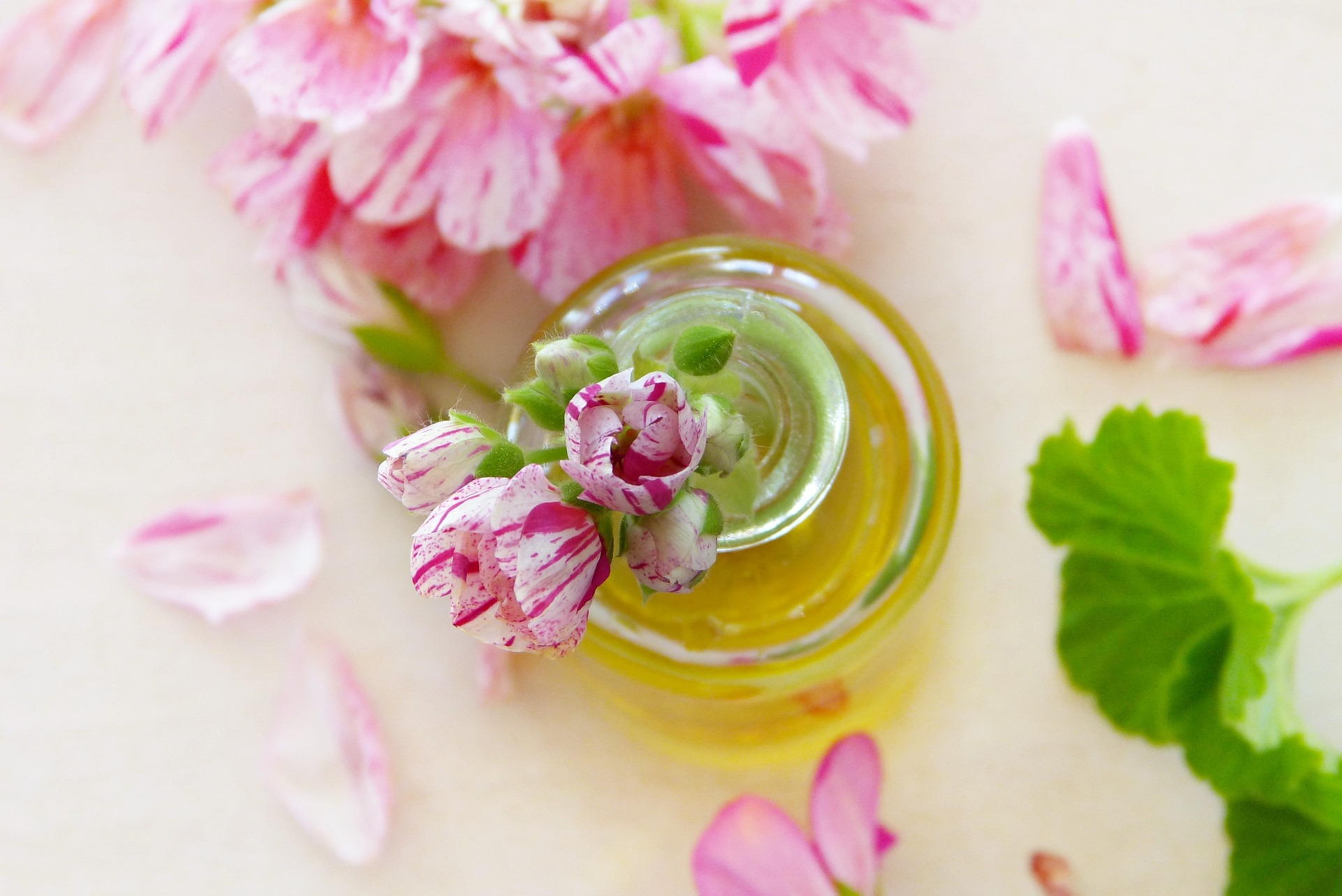 Aceite de argan para bajar de peso